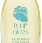 Arden Blue Grass Eau de Parfum 100 ml Vaporisateur