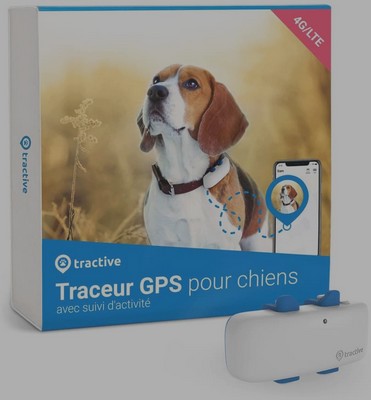 collier GPS pour chien - Tractive GPS Dog 4
