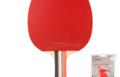 raquette de ping pong - Raquette de ping pong – Tibhar