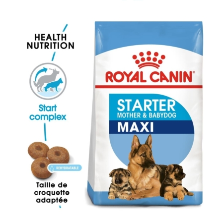 croquette pour chien pas chère - Royal Canin Chien Maxi Starter