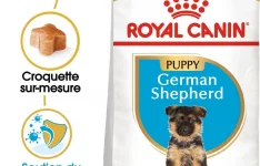 Royal canin – Croquette pour Chio Berger Allemand