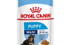 nourriture humide pour chien - Royal Canin Maxi Puppy pour chiot