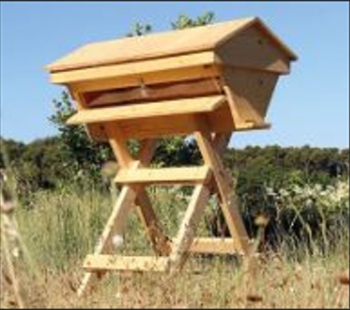 ruche à abeilles - Ruche à abeille Kenyane