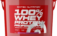 protéine whey rapport qualité/prix - Scitec Nutrition 100% Whey Protein Professional
