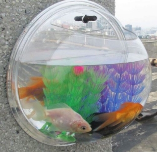  - SimpleLife – Fish Tank aquarium