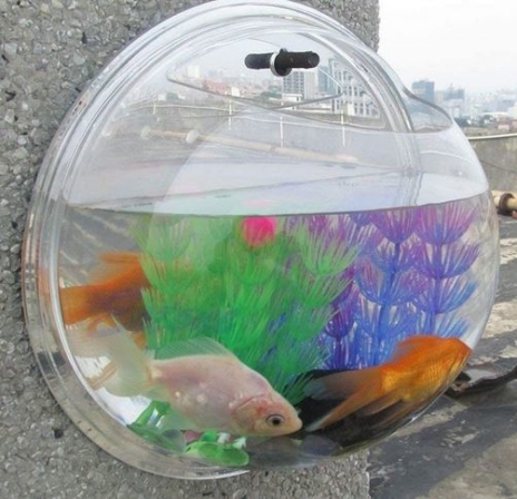 aquarium mural - SimpleLife – Fish Tank aquarium