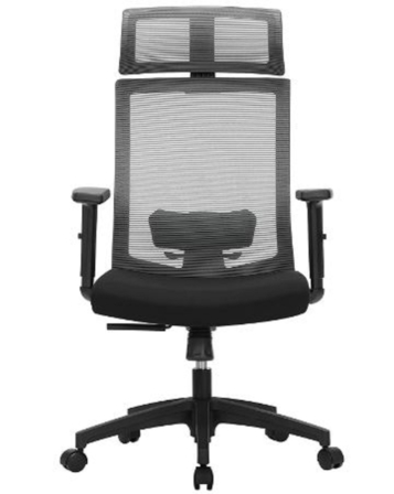 fauteuil de bureau ergonomique - Songmics OBN55BG