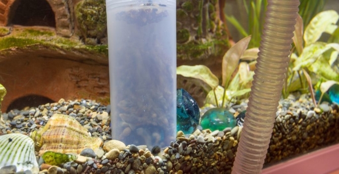 Substrat pour aquarium nutritif