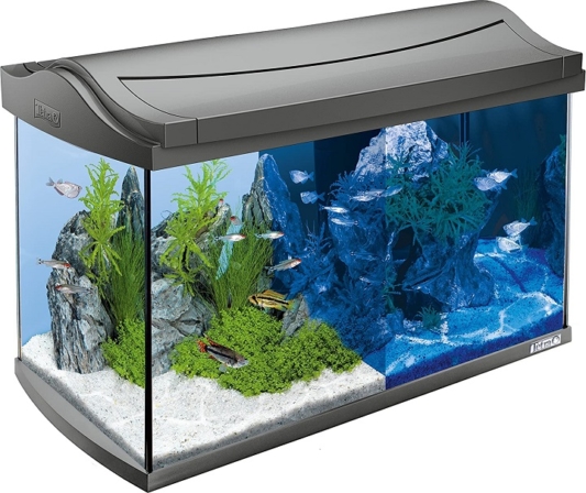 nano aquarium - Tetra AquaArt – 60 L