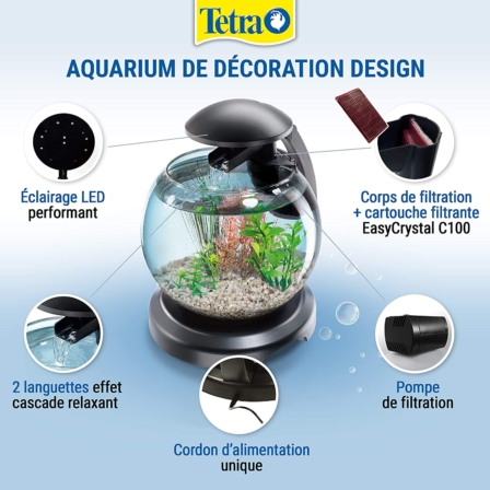 petit aquarium - Tetra - Petit aquarium pour poisson rouge