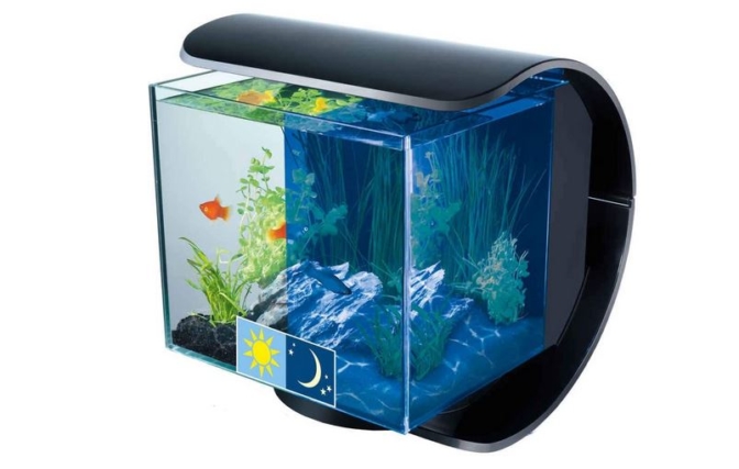 aquarium mural - Tetra – Silhouette Aquarium LED