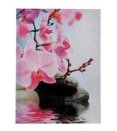 tableau - Toile imprimée Orchidée - 30 x 40 cm