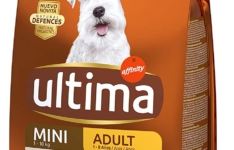 nourriture pour chien - Ultima Croquette Mini Adulte Poulet
