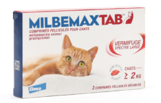 Prodia - Milbemax Tab Vermifuge Spectre Large ( Chats de Plus de 2 kg)