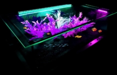 table basse aquarium - VPA Design Ambassador