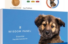 test ADN pour chien - Wisdom Panel - Test ADN pour chien Essential