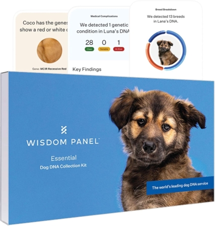 test ADN pour chien - Wisdom Panel – Test ADN pour chien Essential