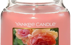 bougie parfumée - Yankee Candle Rose Succulente