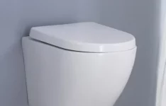 Homelody - WC Suspendu en céramique