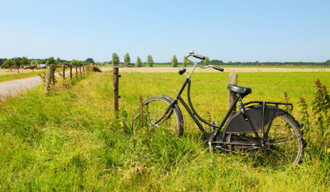 Pourquoi acheter : vélo hollandais pour femme