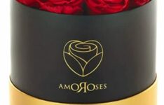 Amoroses 12 Vraies Roses Stabilisées