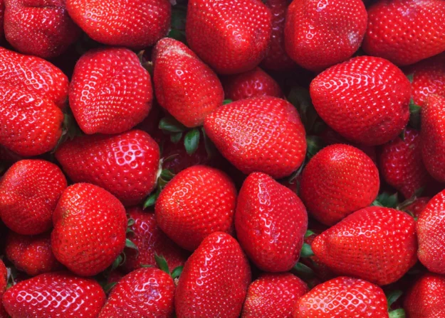 Comment choisir : variété de fraise