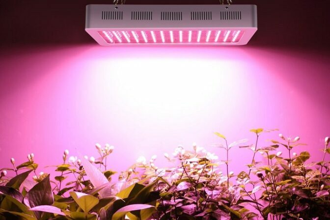 Les meilleurs panneaux LED horticoles