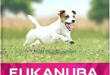 croquettes pour chien - Eukanuba - Croquettes pour chien de petite race 15 kg