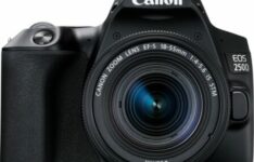 appareil photo reflex pour débutant - Canon EOS 250D + 18-55mm IS STM