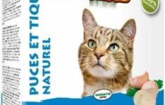 Biofood - Comprimés anti-puces naturel pour chat