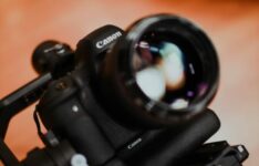 Canon cible le grand public avec les nouveaux boîtiers EOS R8 et EOS R50