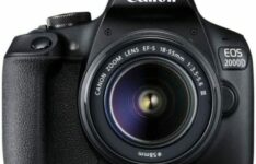 appareil photo pour débutant - Canon EOS 2000D