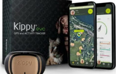 collier GPS pour chat - Kippy Evo Brown Wood