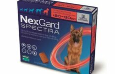 Nexgard Spectra XL3