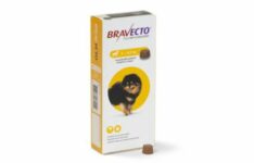 Comprimé anti-puces pour chien Bravecto