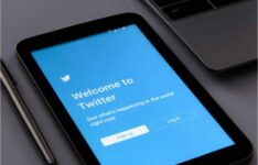 Flashback : Twitter Blue a rencontré un incident technique dès son lancement