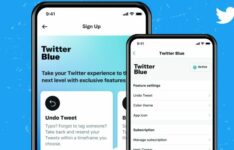 8 euros/mois : le prix de l’abonnement à Twitter Blue en France