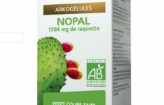 coupe-faim - Arkopharma Arkogélules Nopal Bio