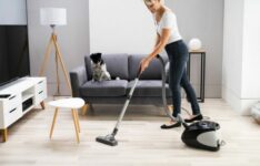 Les meilleurs aspirateurs traîneaux sans sac