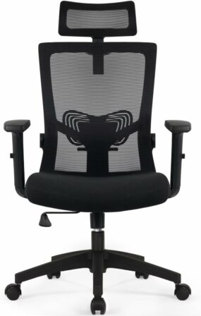 chaise de bureau pour le dos - Daccormax DAZ-B