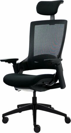 chaise de bureau pour le dos - Ergotopia NextBack