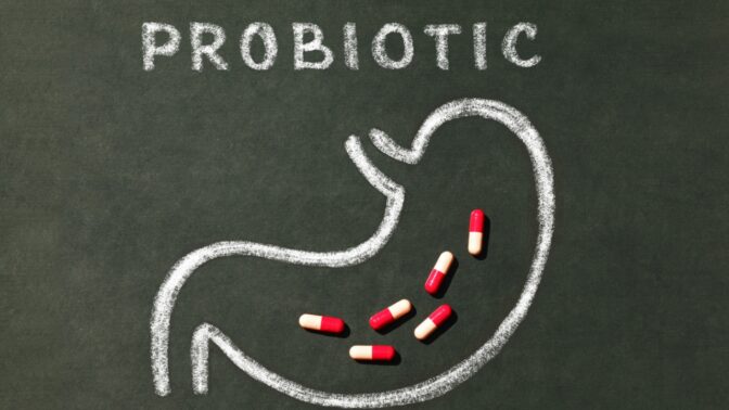Les meilleurs probiotiques 1