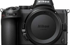 appareil photo pour débutant - Nikon Z 5