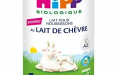Hipp Biologique 1er âge au lait de chèvre – 400 g
