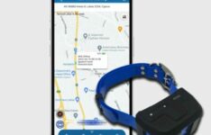 collier GPS pour chat sans abonnement - PetZeye 919 4G