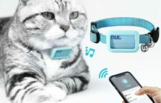 collier GPS pour chat sans abonnement - Serbia – Collier GPS pour chat étanche