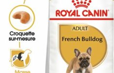 Royal Canin Adult French Bulldog (9 kg)