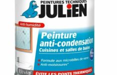 peinture isolante thermique - Julien – Peinture anti-condensation (0,5 L)