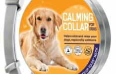 Kexmy – Collier anti-stress pour chien