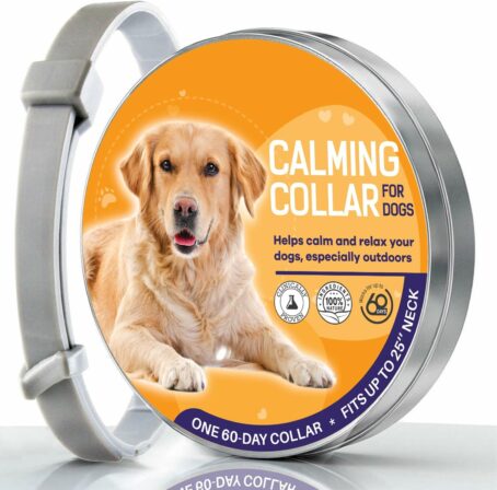 Kexmy – Collier anti-stress pour chien